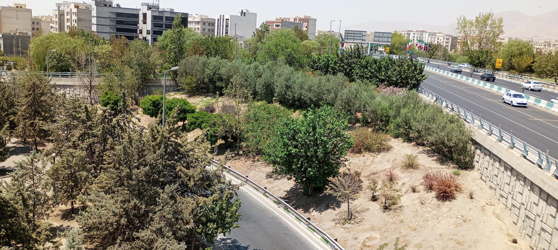 عکس بوستان ساناز