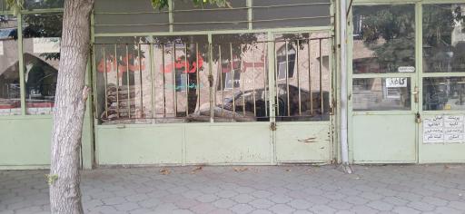 عکس فرش فروشی شکرانه