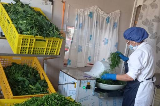 عکس سبزی مارکت بانوی کیش