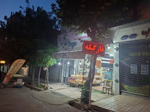 عکس میوه سبزی نارگیله