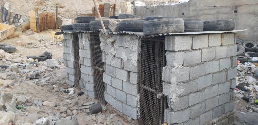 عکس پرورش سگ انوشیروان