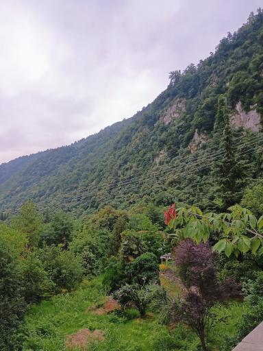 عکس ویلاهای نهاد ریاست جمهوری