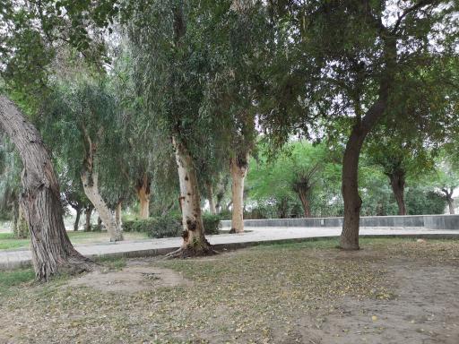 عکس پارک لاله