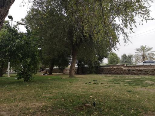 عکس پارک لاله