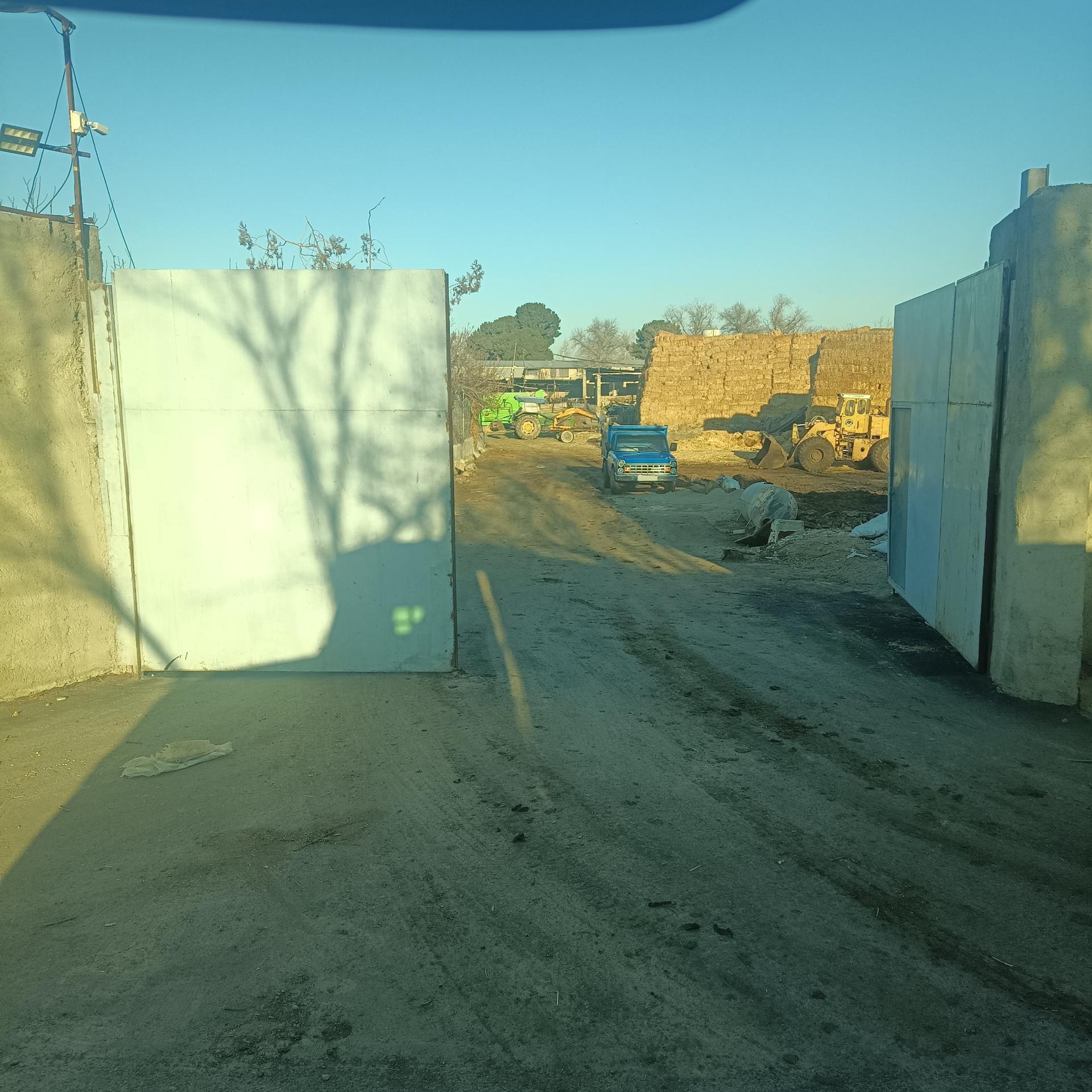 عکس گاوداری شیری عبدالله شیخ عباسی