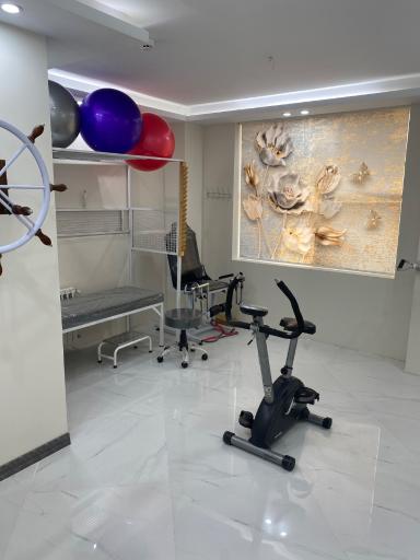 عکس فیزیوتراپی اوی سینا