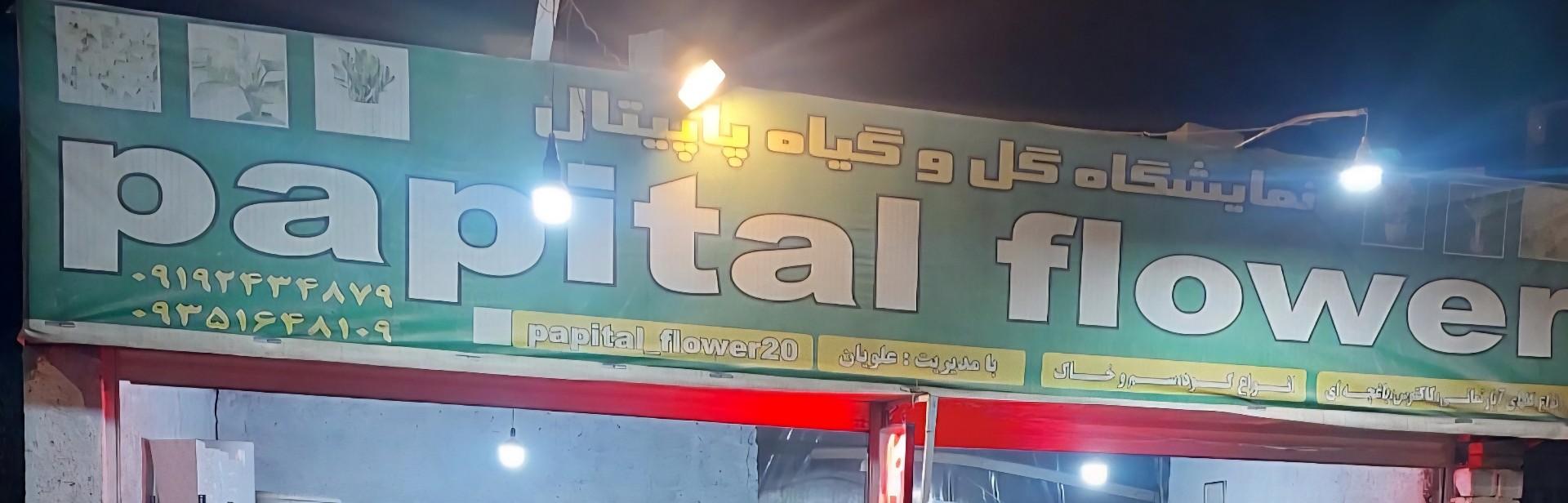 عکس گل و گیاه پاپیتال