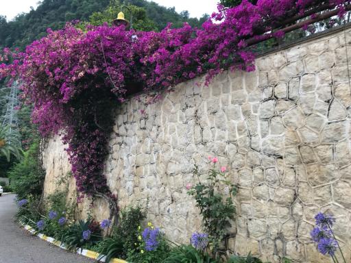عکس ویلاهای نهاد ریاست جمهوری