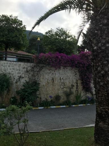 عکس ویلاهای نهاد ریاست جمهوری