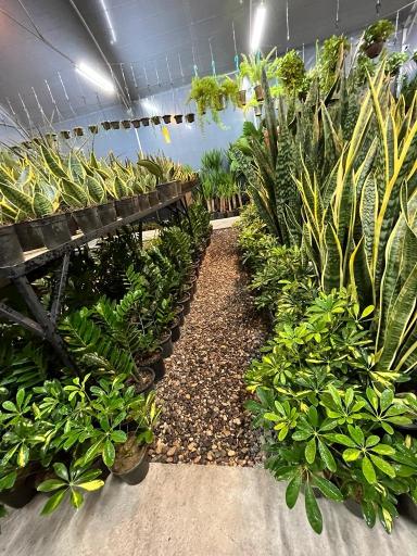 عکس فروشگاه گل و گیاه ام جی