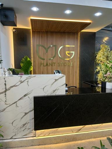 عکس فروشگاه گل و گیاه ام جی