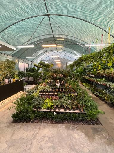 عکس فروشگاه گل و گیاه ام جی