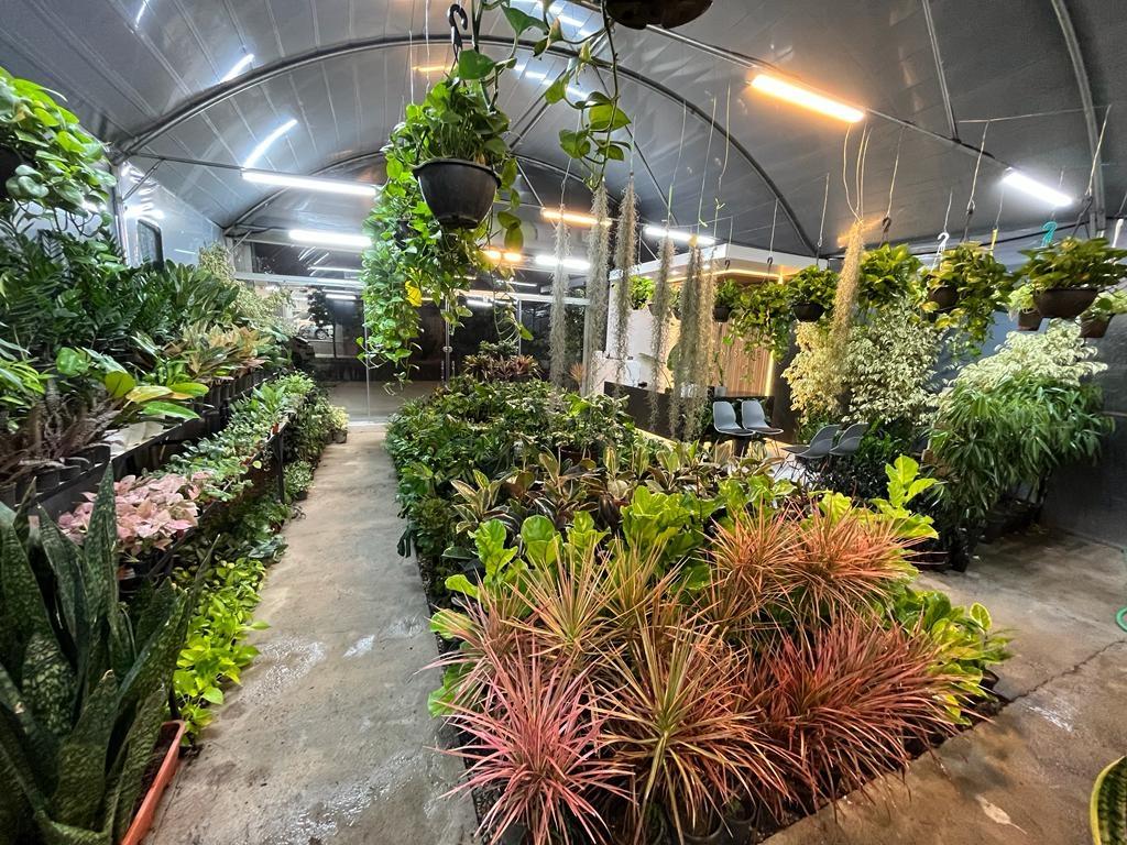 عکس فروشگاه گل و گیاه ام جی