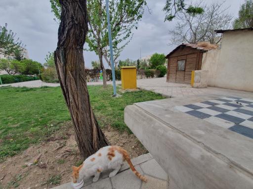 عکس بوستان 22 بهمن