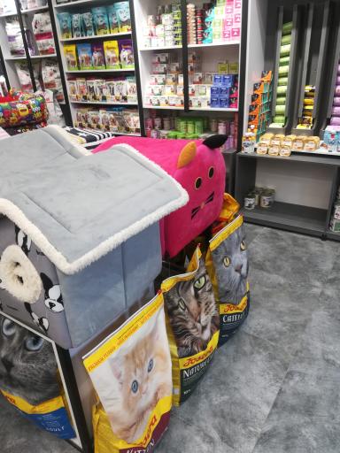 عکس دامپزشکی دکتر صمیمی