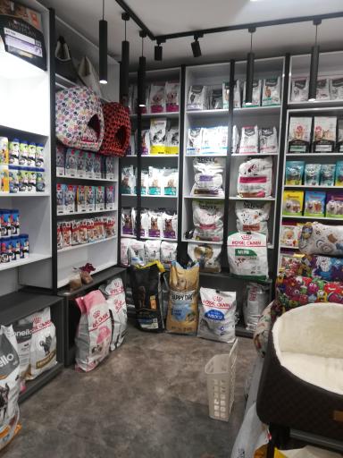 عکس دامپزشکی دکتر صمیمی