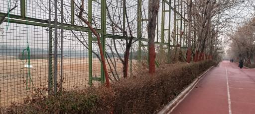 عکس مجموعه فرهنگی ورزشی انقلاب