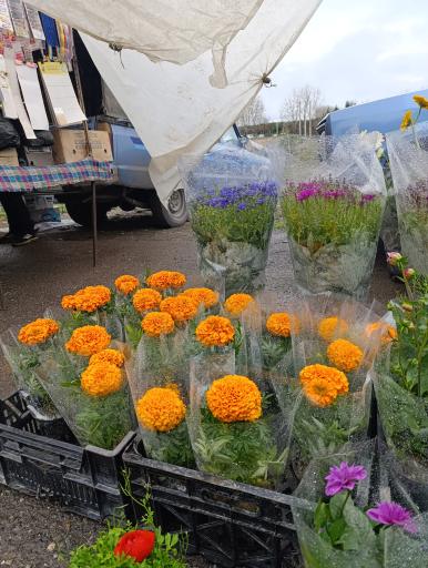 عکس جمعه بازار جویبار