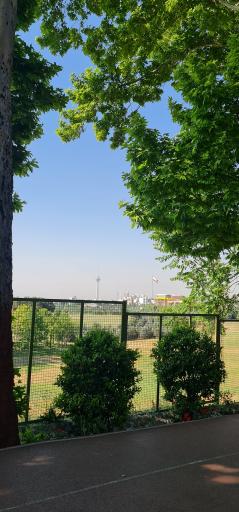 مجموعه فرهنگی ورزشی انقلاب