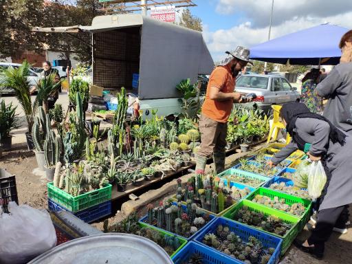 عکس جمعه بازار جویبار