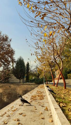 عکس مجموعه فرهنگی ورزشی انقلاب