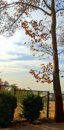 عکس مجموعه فرهنگی ورزشی انقلاب