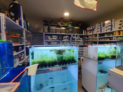 عکس آکواریوم دیمو