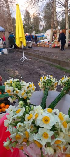 جمعه بازار جویبار