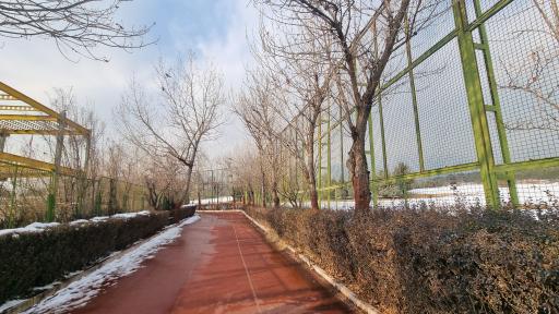 عکس مجموعه فرهنگی ورزشی انقلاب