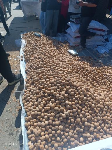 عکس جمعه بازار جویبار