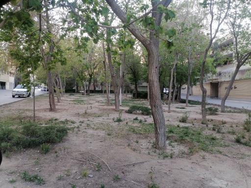 عکس پارک محلی هاشمی نژاد