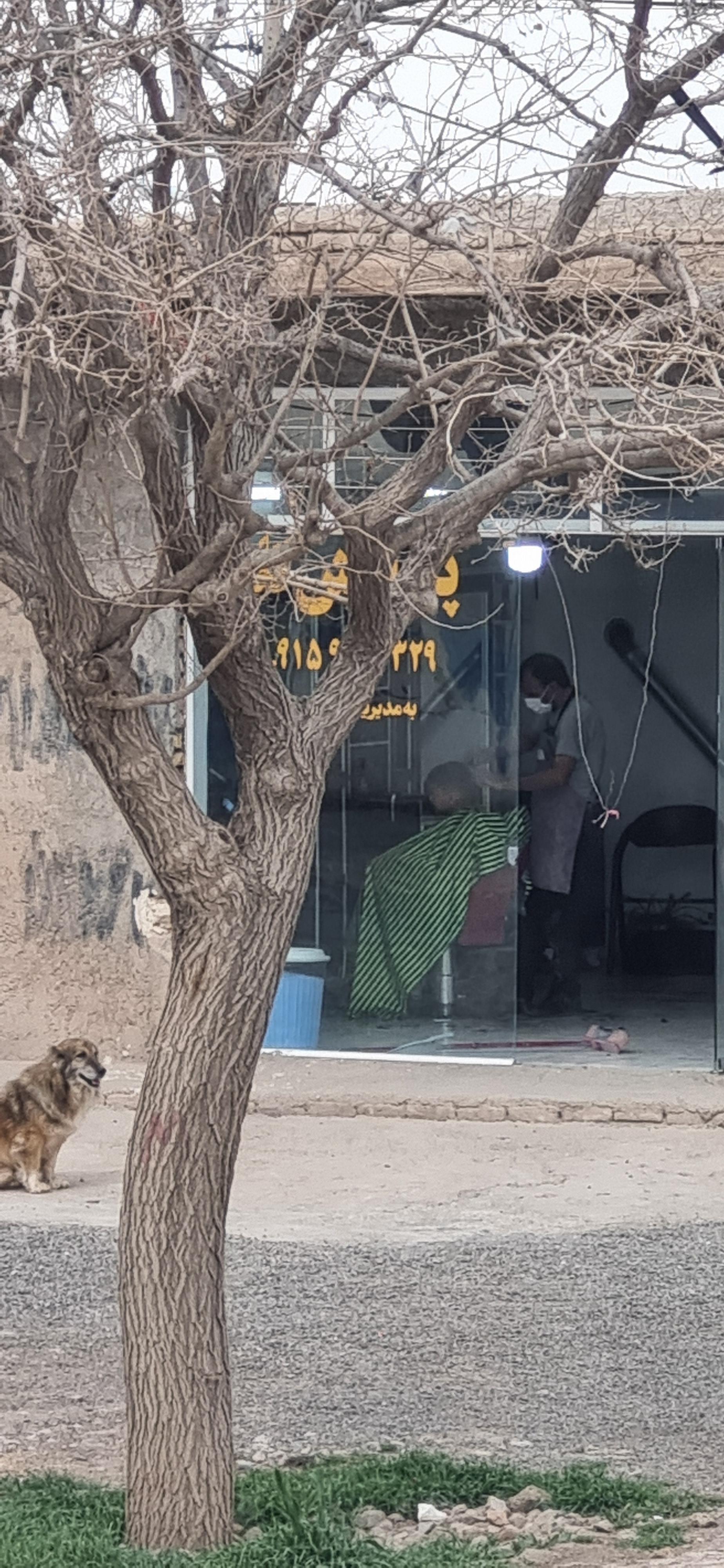 عکس آرایشگاه علی