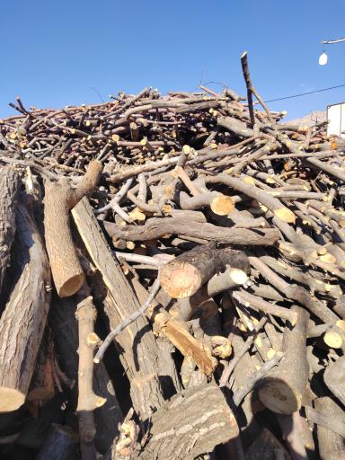 عکس بازرگانی چوب پای گذار