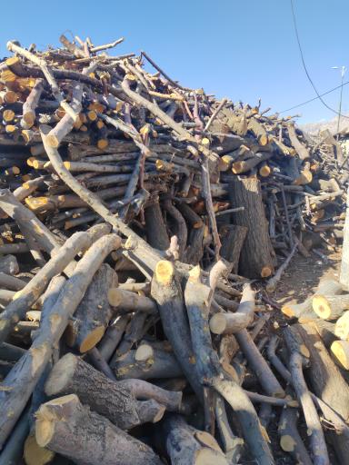 عکس بازرگانی چوب پای گذار