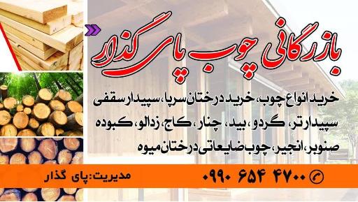 عکس بازرگانی چوب پای گذار