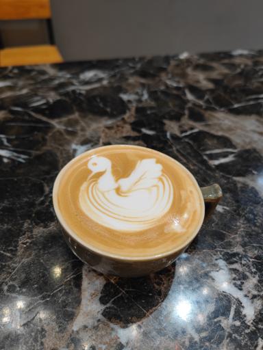 عکس کافه کتاب نگاتیو