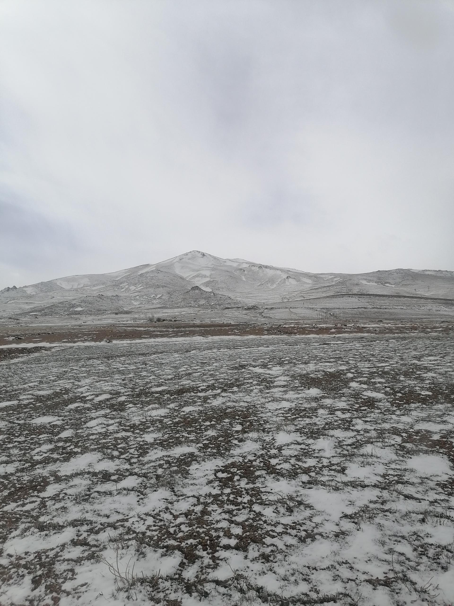 عکس نخود تپه سی