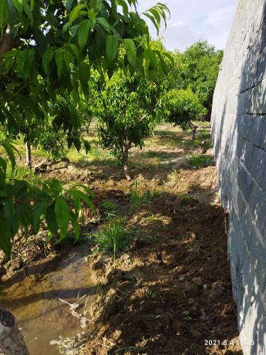 عکس مجتمع زیبا