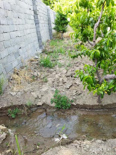 عکس مجتمع زیبا