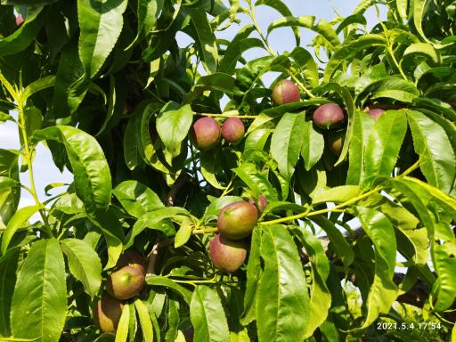 عکس مجتمع زیبا