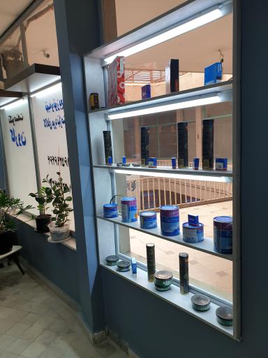 عکس تکنو صنعت کارون