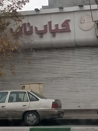 عکس کباب ناب