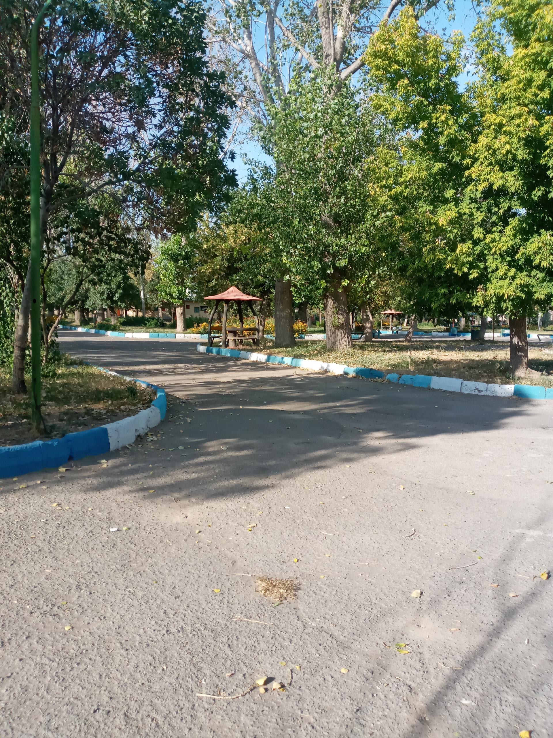 عکس پارک لاله