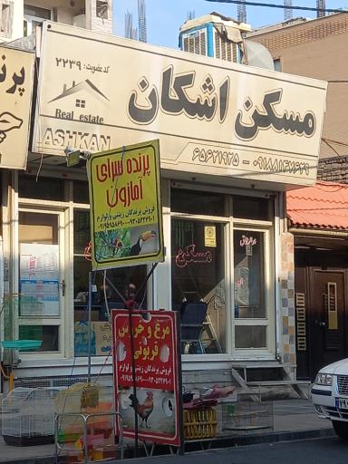 عکس دپارتمان املاک اشکان