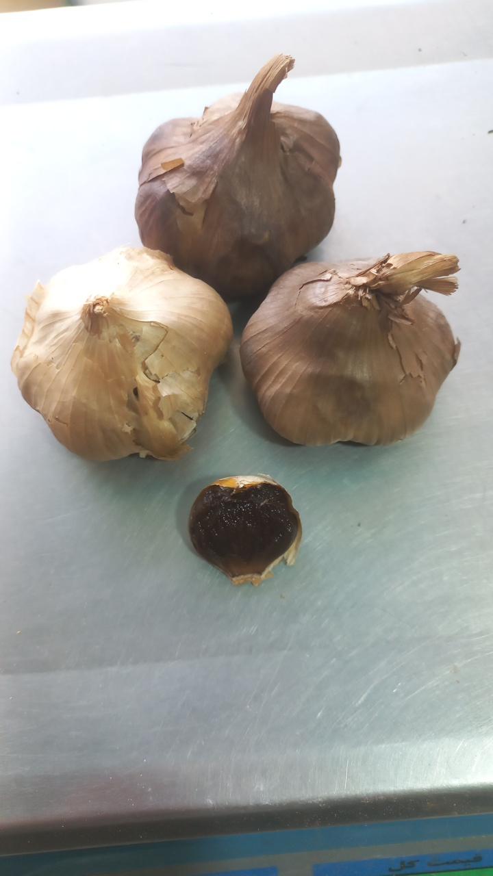 عکس عطاری شفا