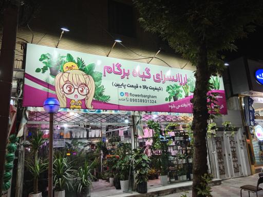 عکس ارزانسرای گیاه برگام