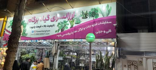 ارزانسرای گیاه برگام