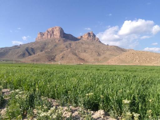 عکس معصوم‌آباد