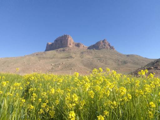عکس معصوم‌آباد