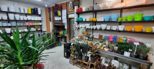 عکس دهکده گل قاسم آباد (نارسیس)